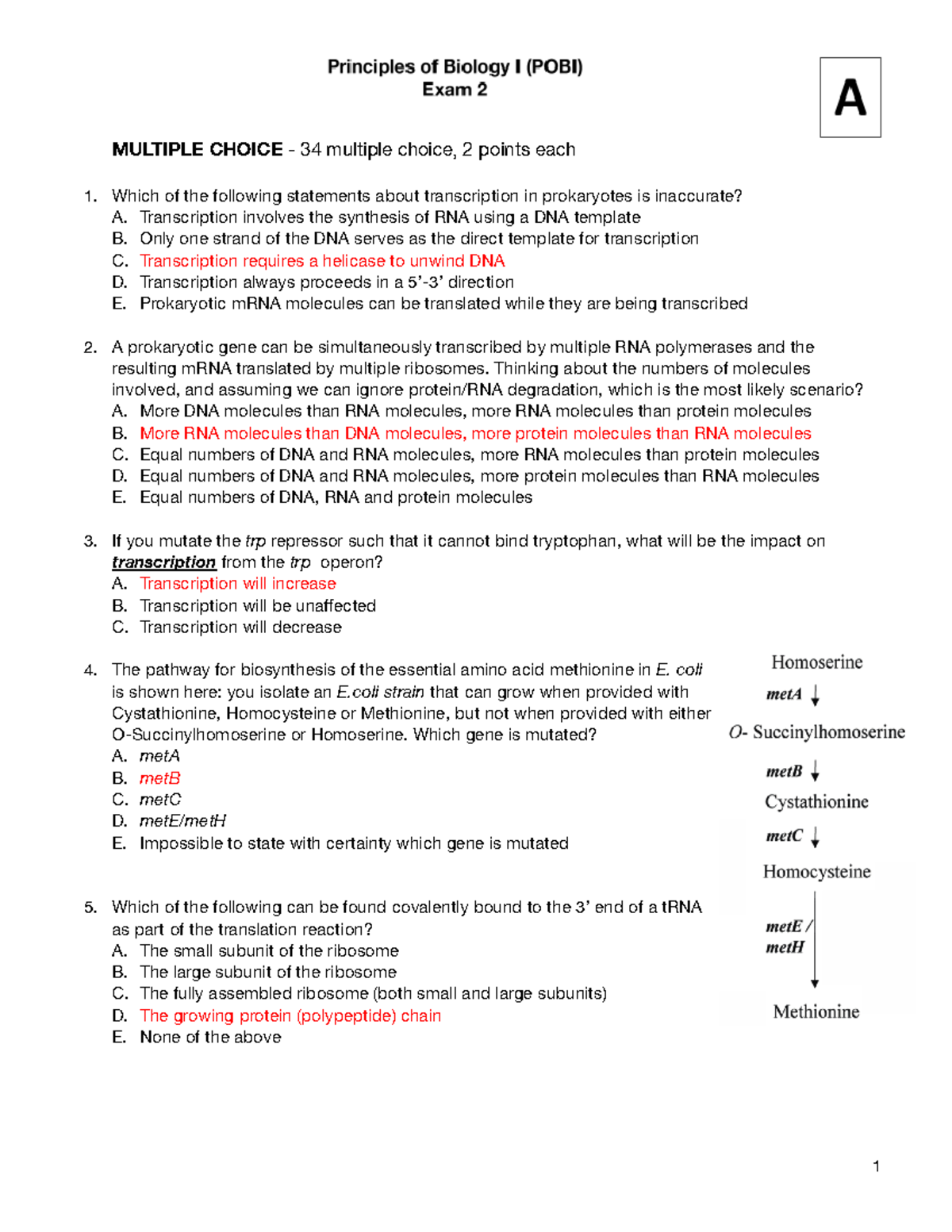 POB Exam 2A - KEY - practice material for the exams/ materials and ...