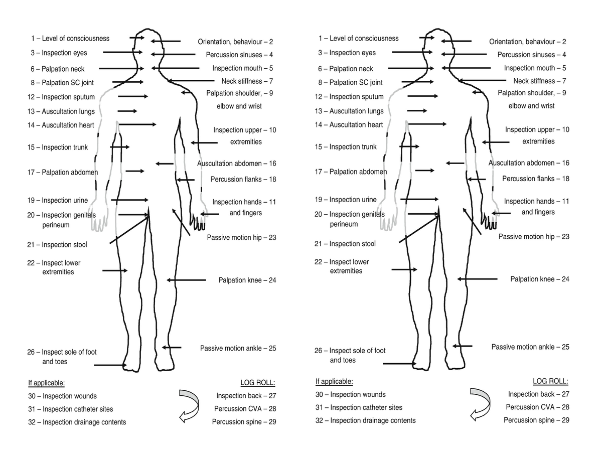 Body Outline - Head to Toe - Half Sheet - 2 per page - UPNS 210 - Studocu