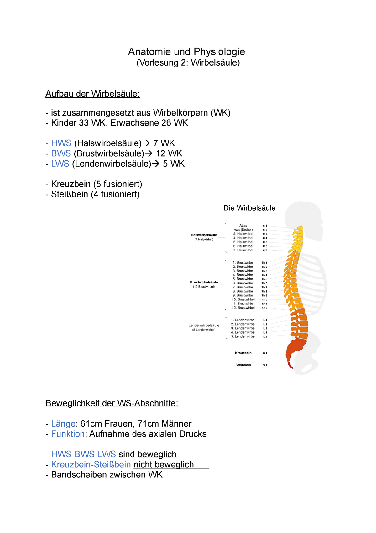 Vorlesung 2 Wirbels ule Anatomie und Physiologie Vorlesung 2