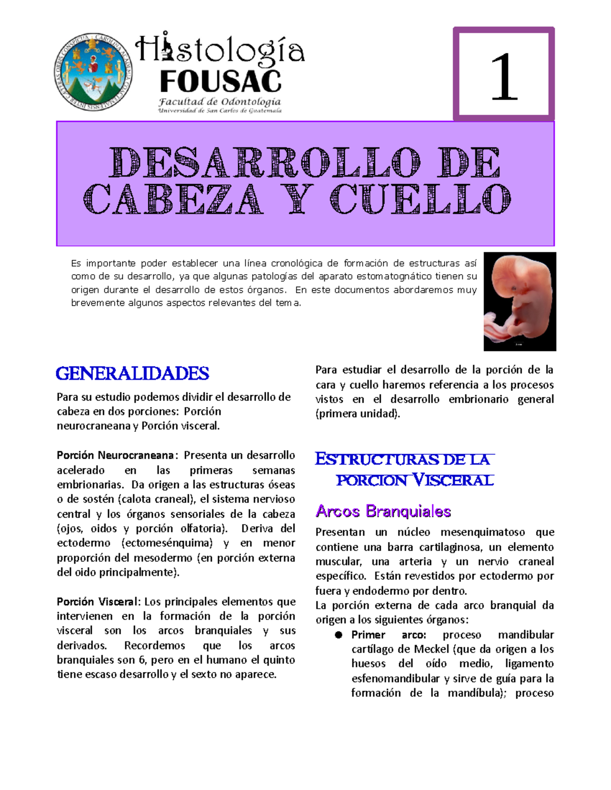 Embriologia De Cabeza Y Cuello - 1 Desarrollo De Cabeza Y CUELLO Es ...