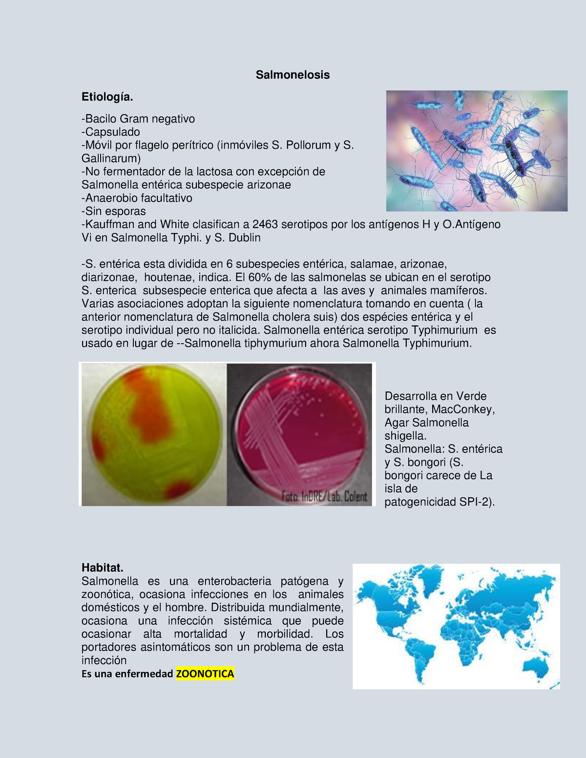 Salmonelosis En Diferentes Especies Salmonelosis Etiolog A Bacilo