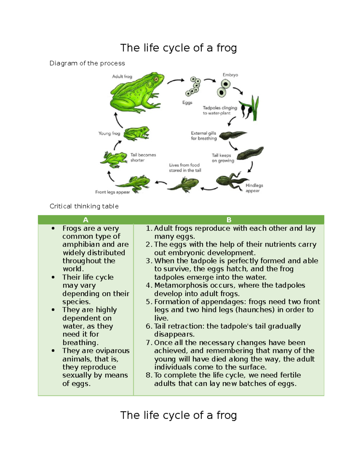 Assignment 1 - assigment - The life cycle of a frog Diagram of the ...