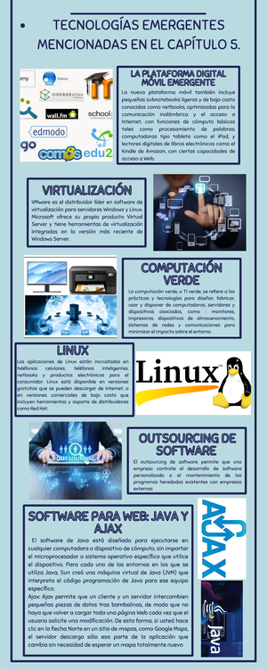 Infografía consejos de creatividad orgánico floral rosa - HADWARE ...
