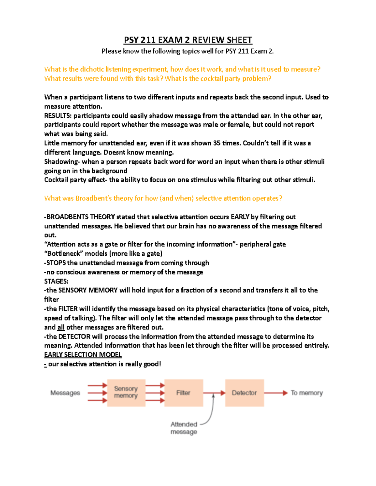 PSY 211 Exam 2 review sheet k - PSY 211 EXAM 2 REVIEW SHEET Please know ...
