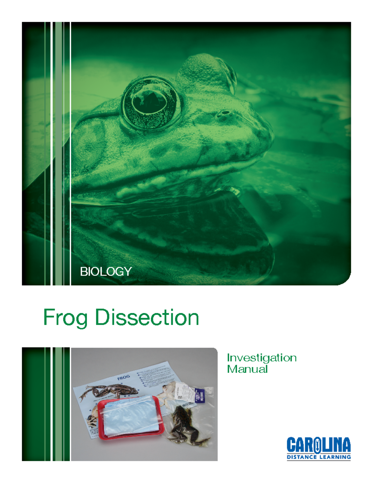 Lab 7 - Frog Dissection lab manual - BIO 151 - St. Joe's - Studocu