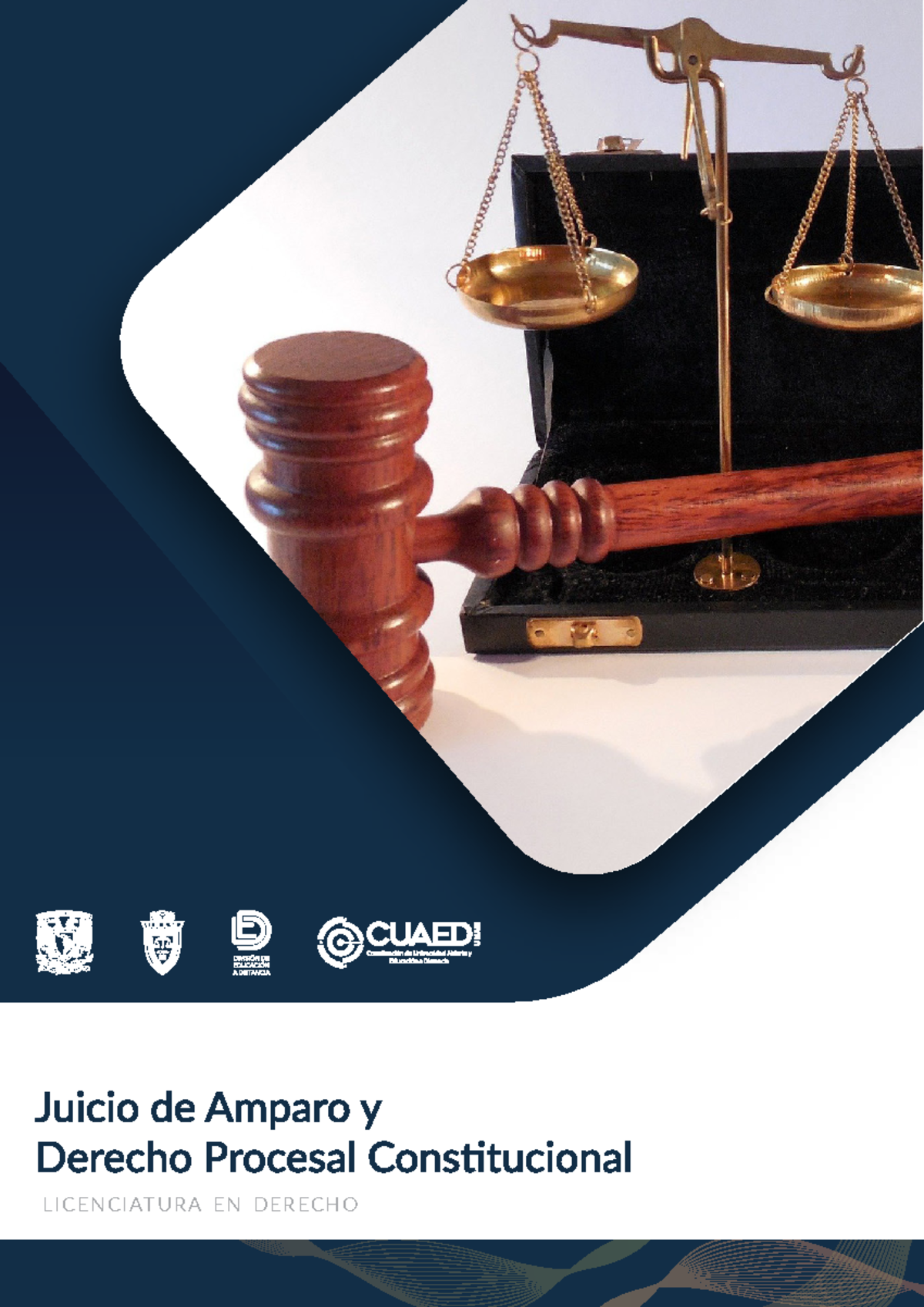 La procedencia del amparo Indirecto - LIC ENCI ATUR A EN DER EC HO La ...