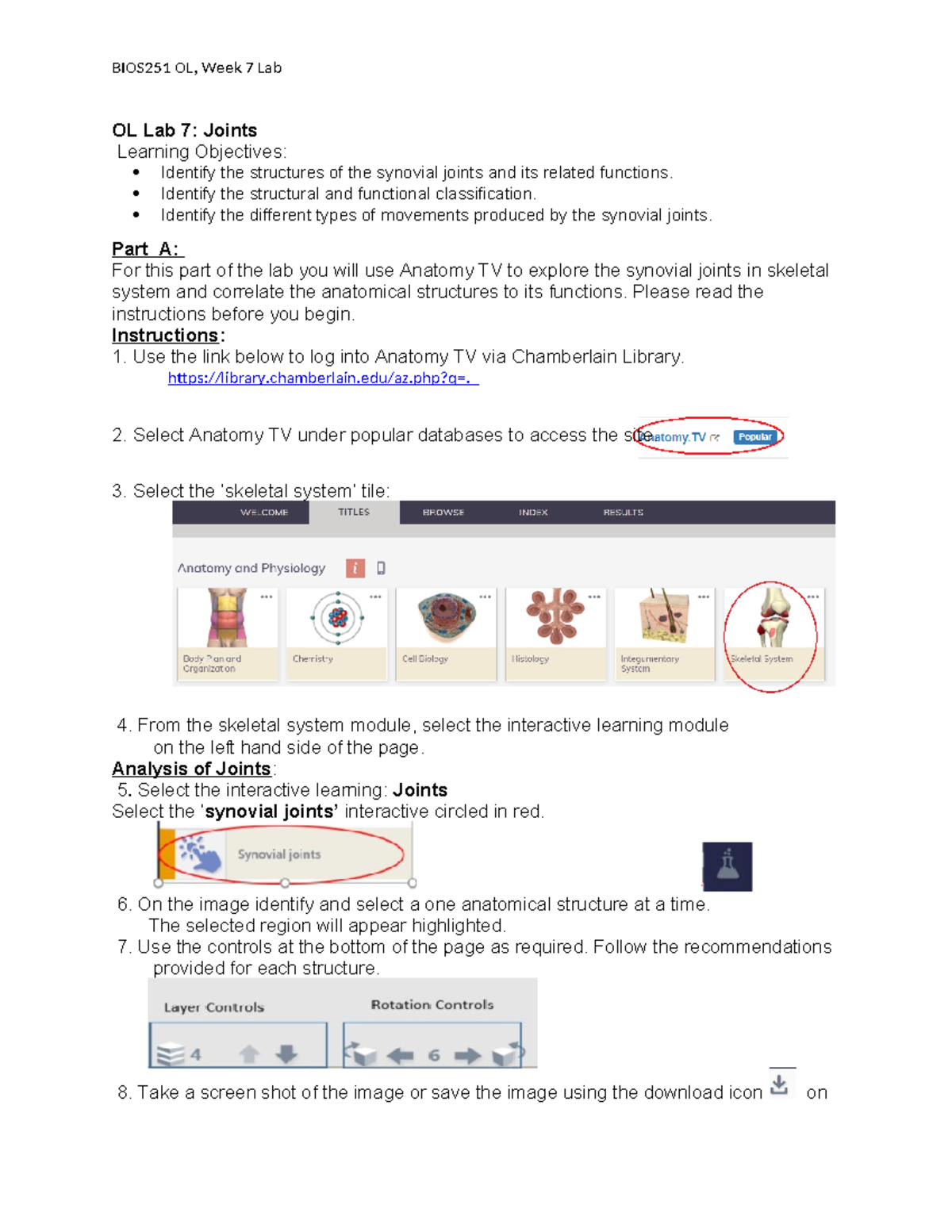 Lab 7 bio - class work - OL Lab 7: Joints Learning Objectives: Identify ...