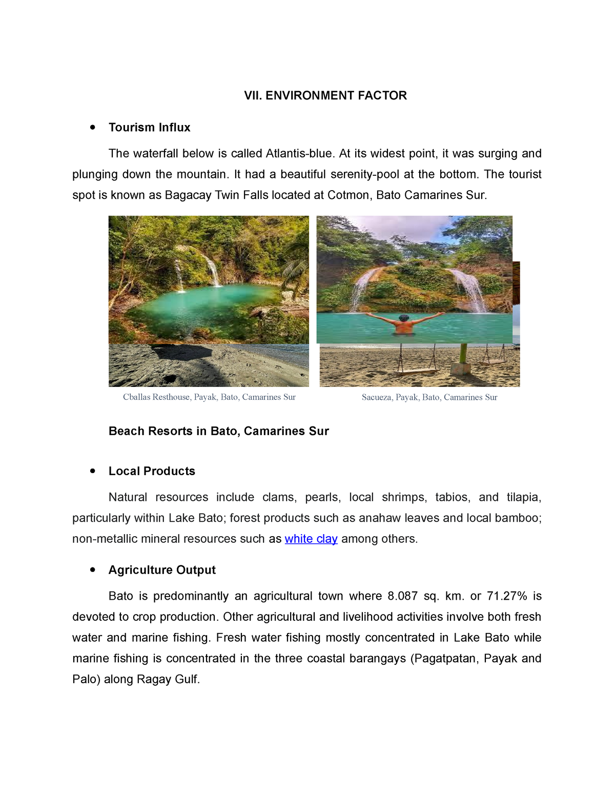 Area Study Bato Camarines Sur - Environment Factor - VII. ENVIRONMENT ...