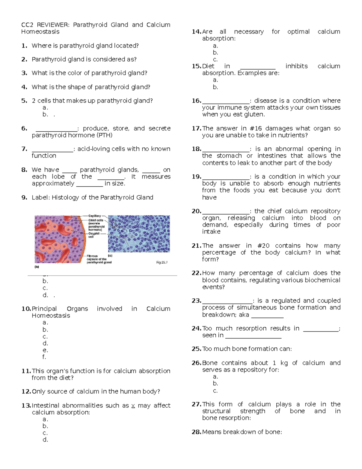 CC2 Reviewer Parathyroid Gland and Calcium Homeostasis - CC2 REVIEWER ...