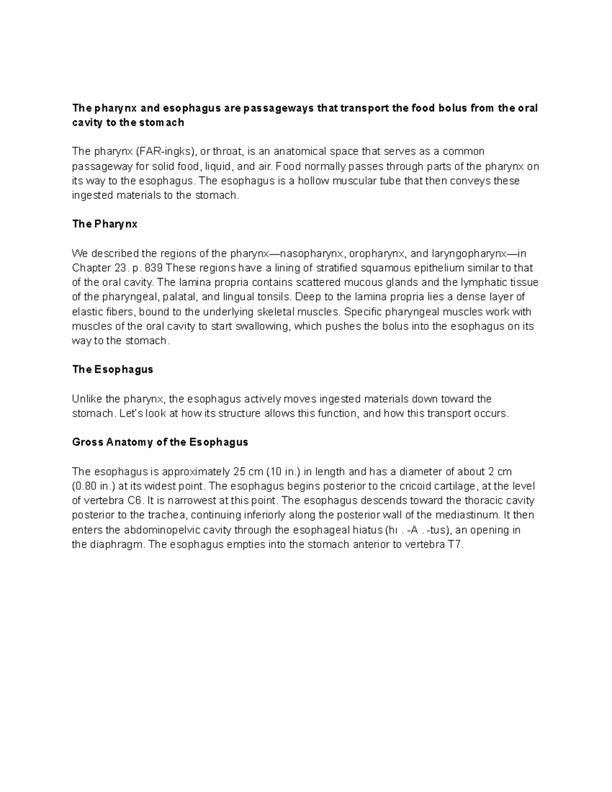 The pharynx and esophagus are passageways that transport the food bolus