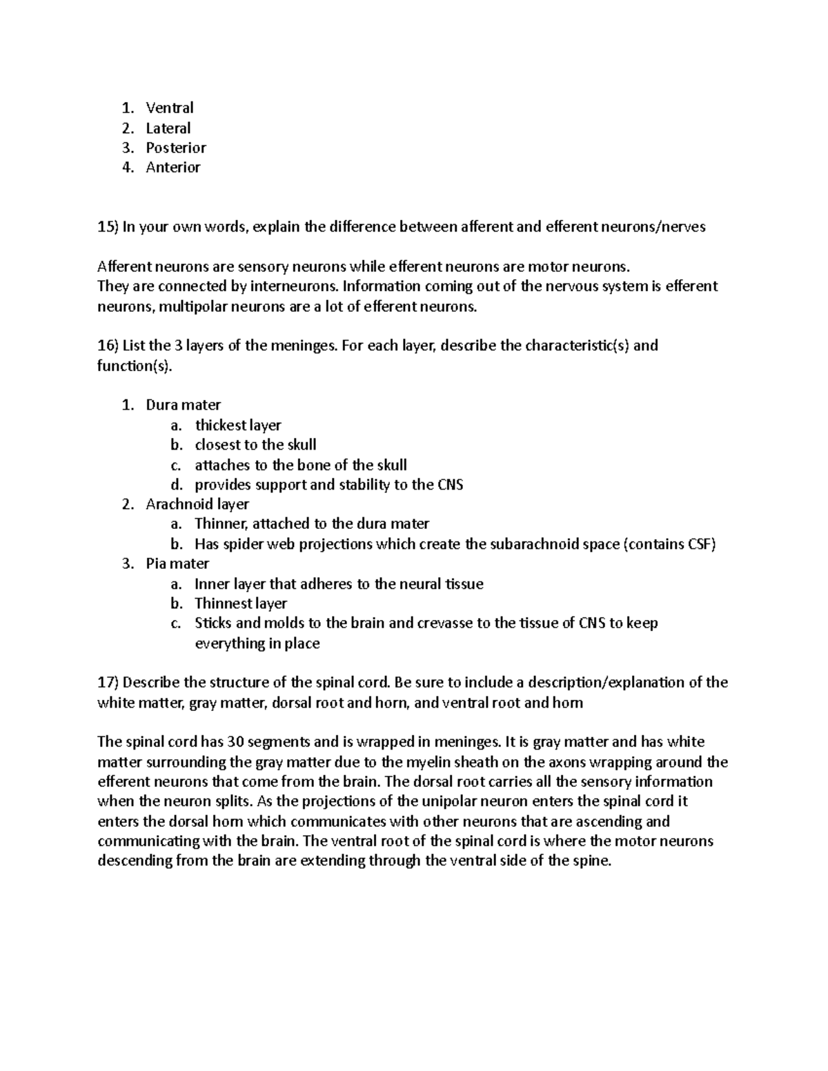 Practice sheet biopsych - Ventral Lateral Posterior Anterior In your ...