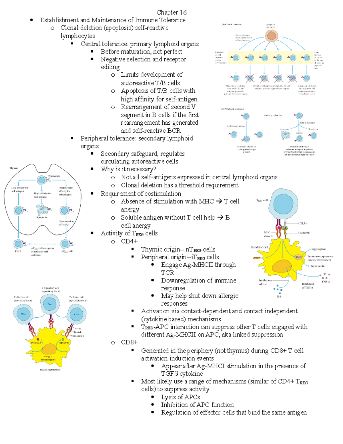 Chapter 16 - Chapter 16 Establishment and Maintenance of Immune ...