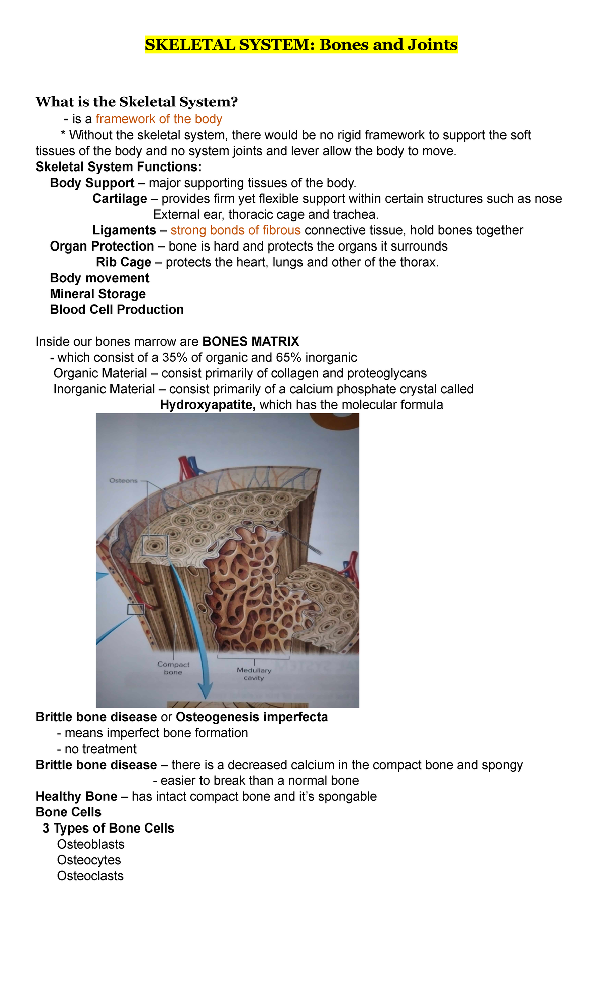 Anaphy Skeletal- System-Bones-and-Joints-1 - SKELETAL SYSTEM: Bones And ...