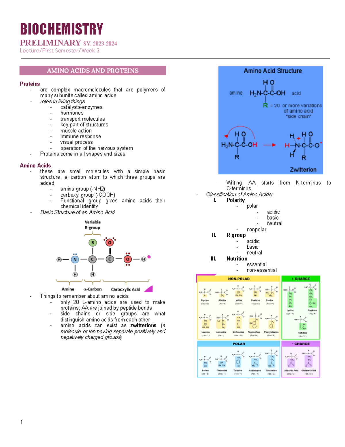 Amino Acids and Proteins- Biochemistry transes - BIOCHEMISTRY ...