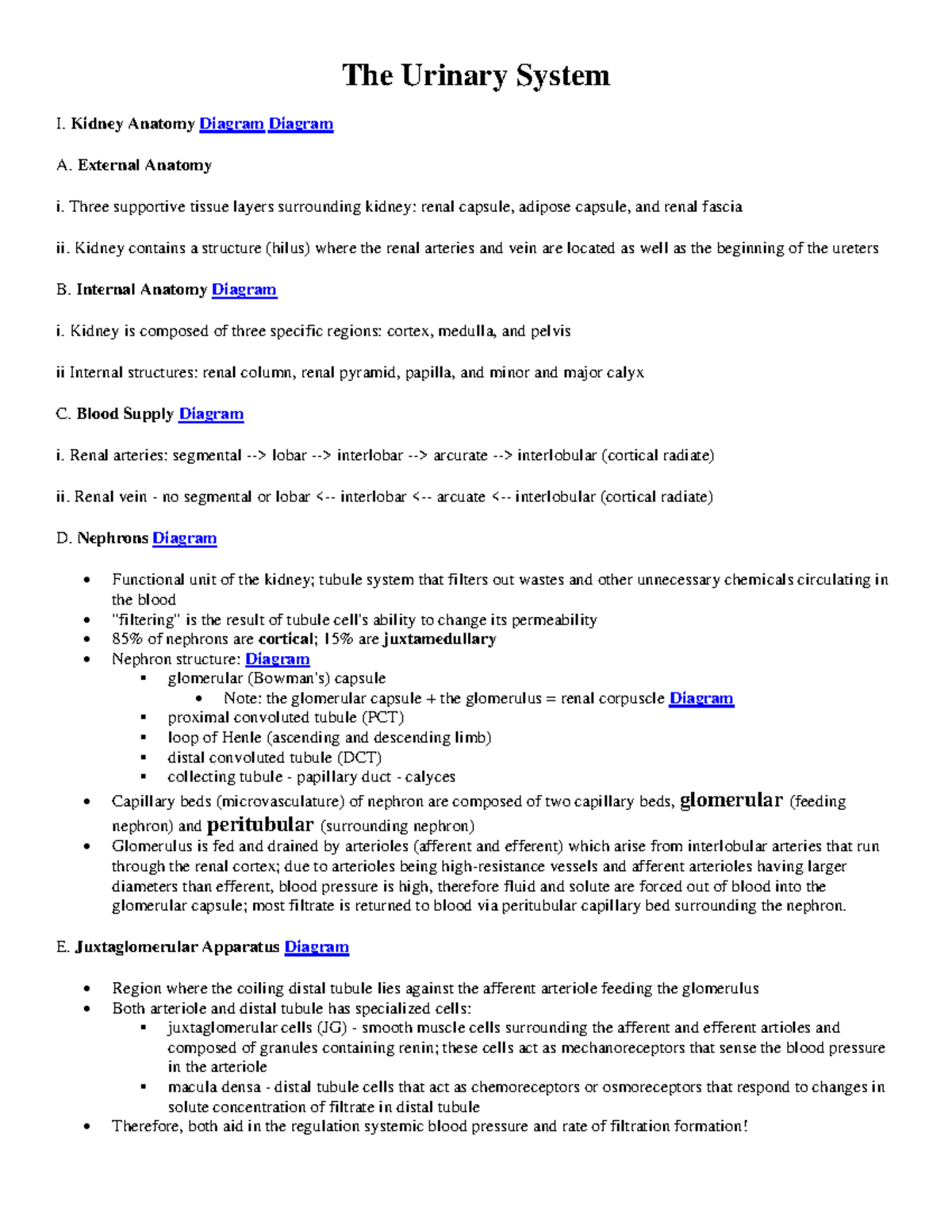The Urinary System supplementary notes - The Urinary System I. Kidney ...