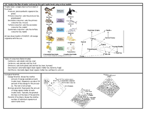 Applications of genetic engineering - Currently, plasmids in ...