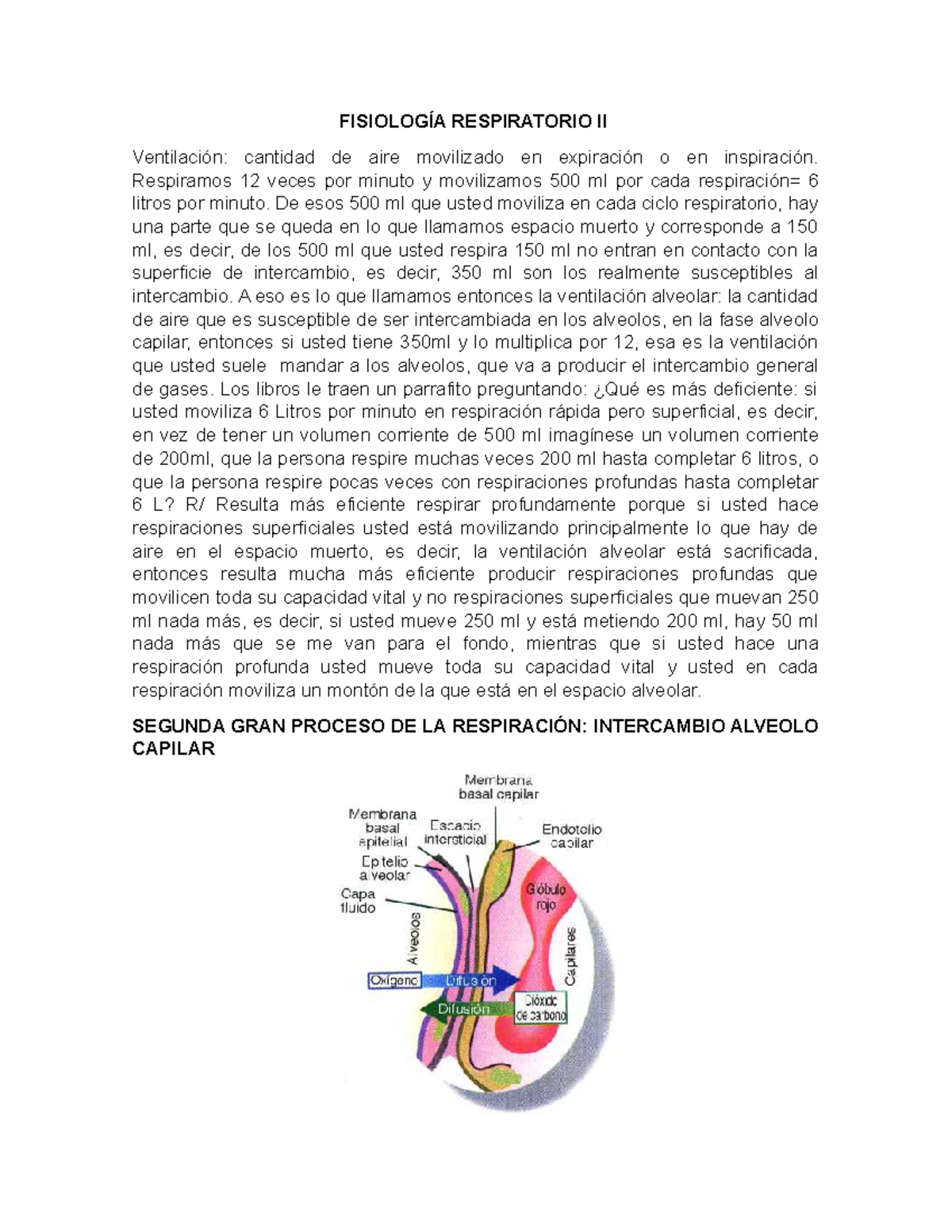 proceso de alveolo capilar