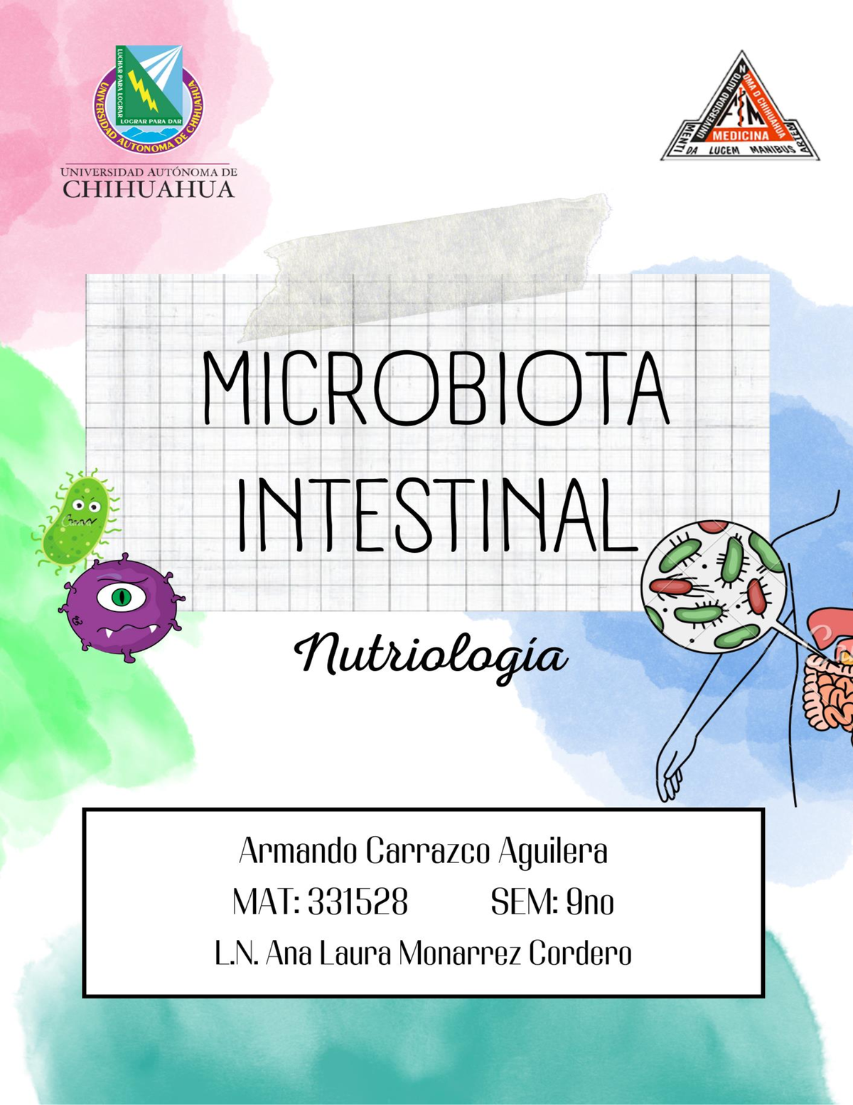 Microbiota Intestinal - Las Bacterias De La Microbiota Intestinal ...