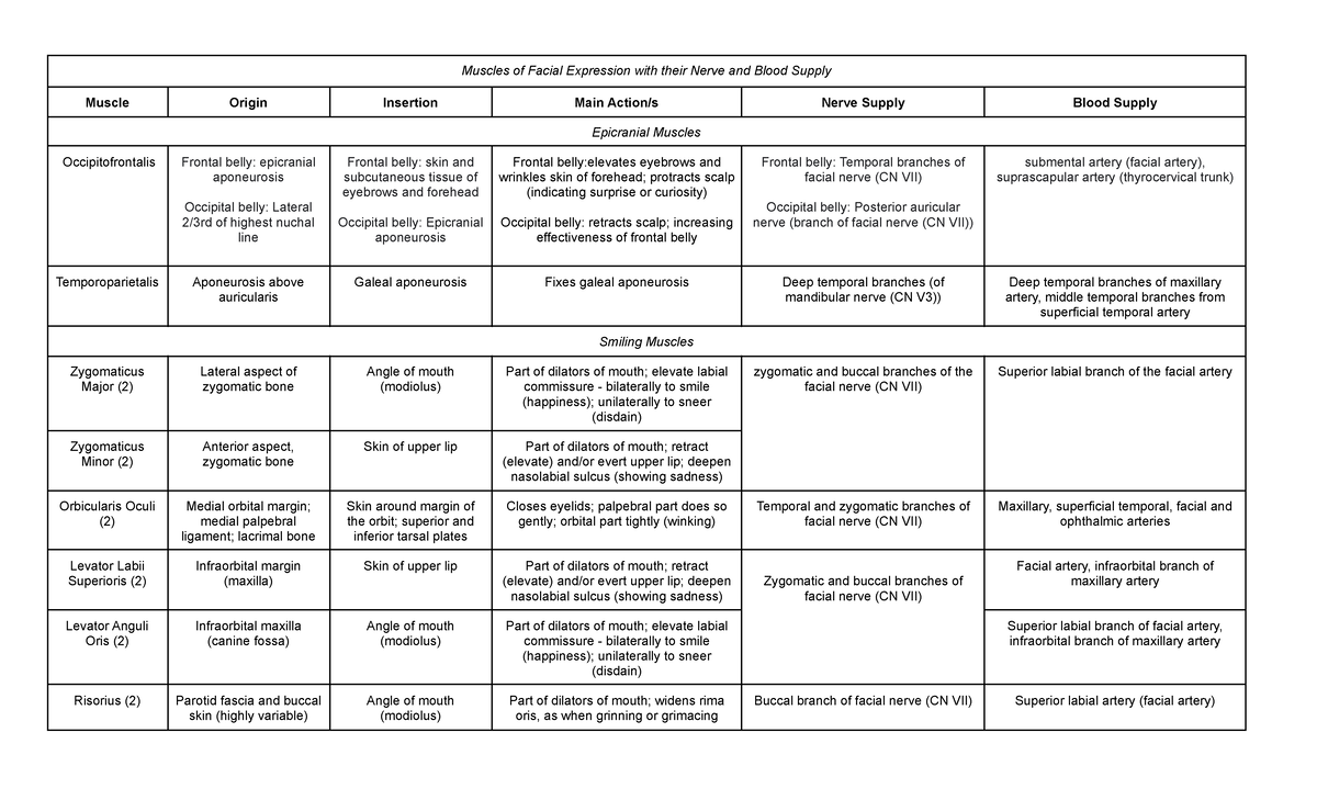 Muscles of Facial Expression with their Nerve and Blood Supply - Studocu