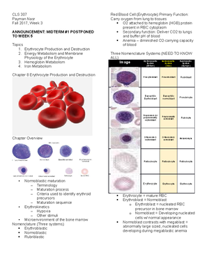 Chapter 24 Intrinsic Defects Leading to Increased Erythrocyte ...