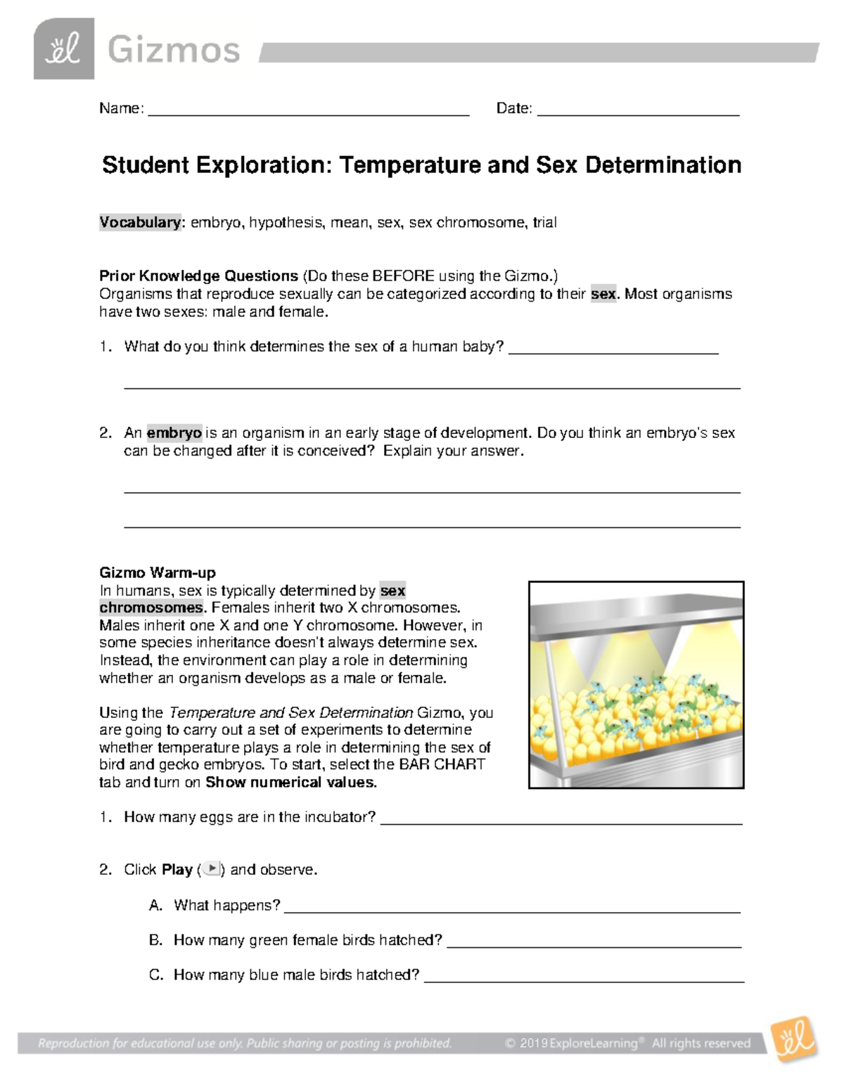 Temp Sex Determination SE - Name: Date: - Studocu