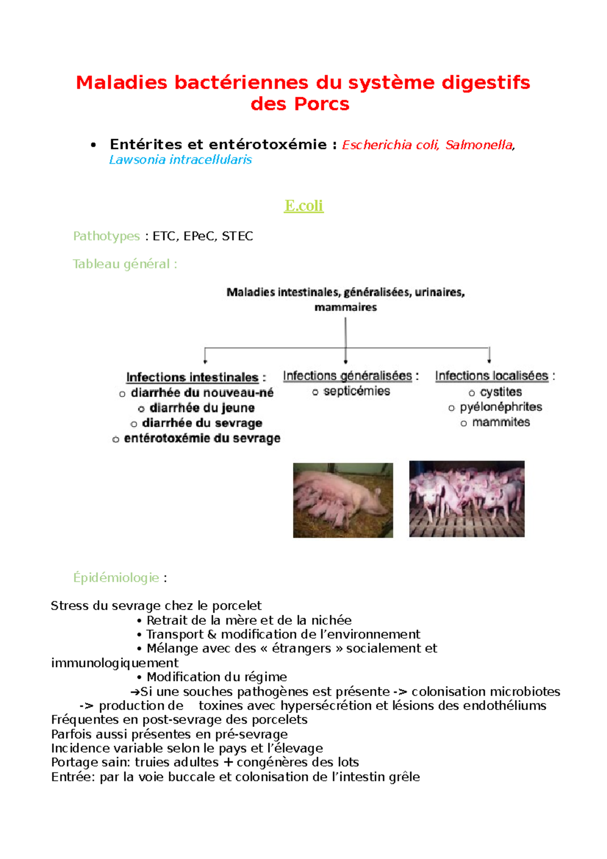 Maladies bactériennes du système digestifs des Porcs - Maladies ...