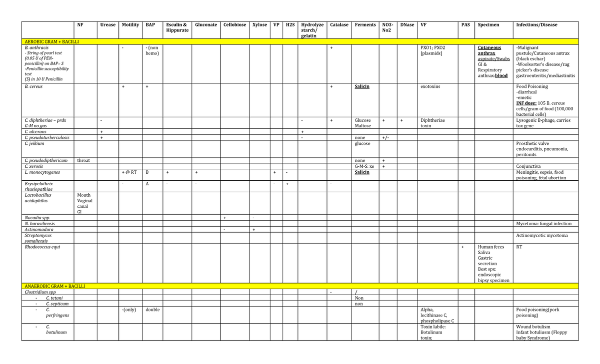 Finals- Table-2 print - TABLE MEMORIZE - NF Urease Motility BAP Esculin ...