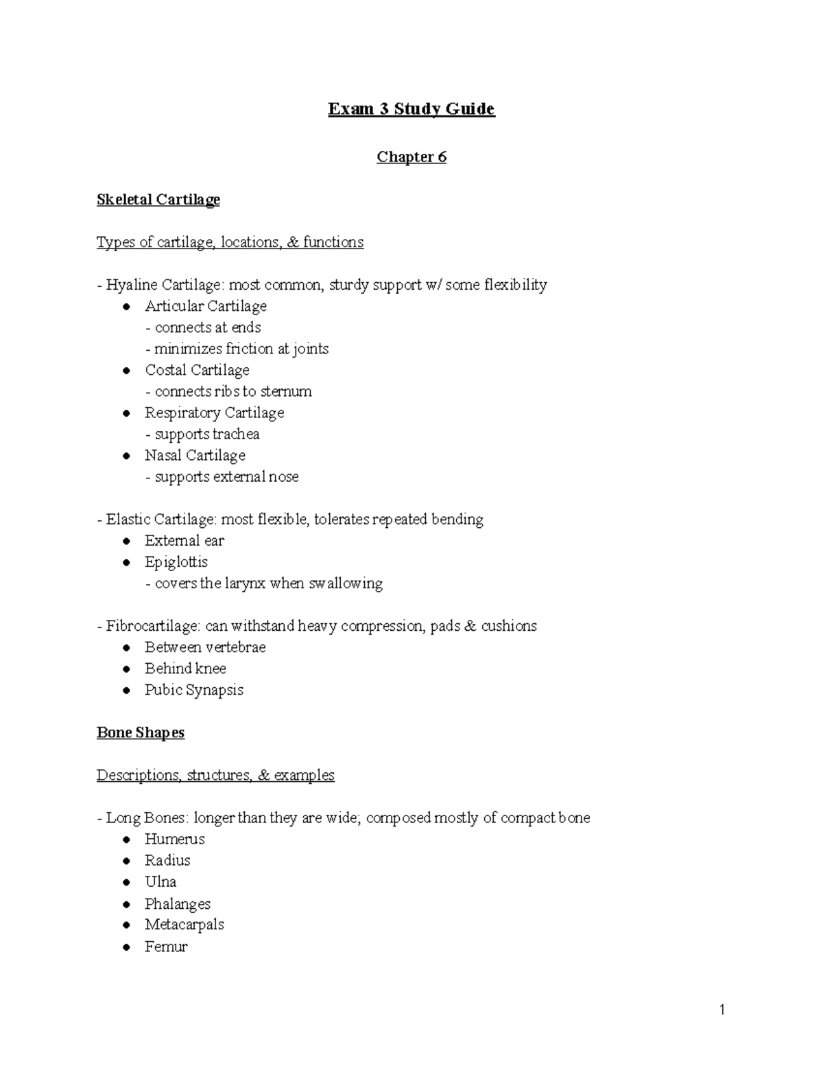 Exam 3 Study Guide - Bones/Skeletal - Exam 3 Study Guide Chapter 6 ...
