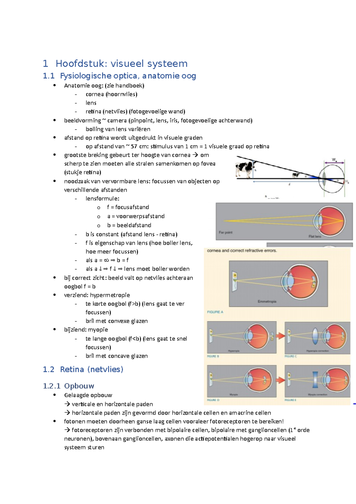 Neurofysiologie H4 (Het visueel systeem) - 1 Hoofdstuk: visueel systeem ...