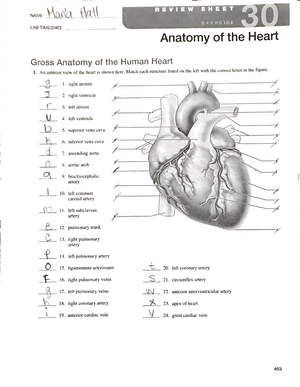 Chapter 27 77 - mr. aguilar class - Chapter 27 Anatomy & Biology II The ...