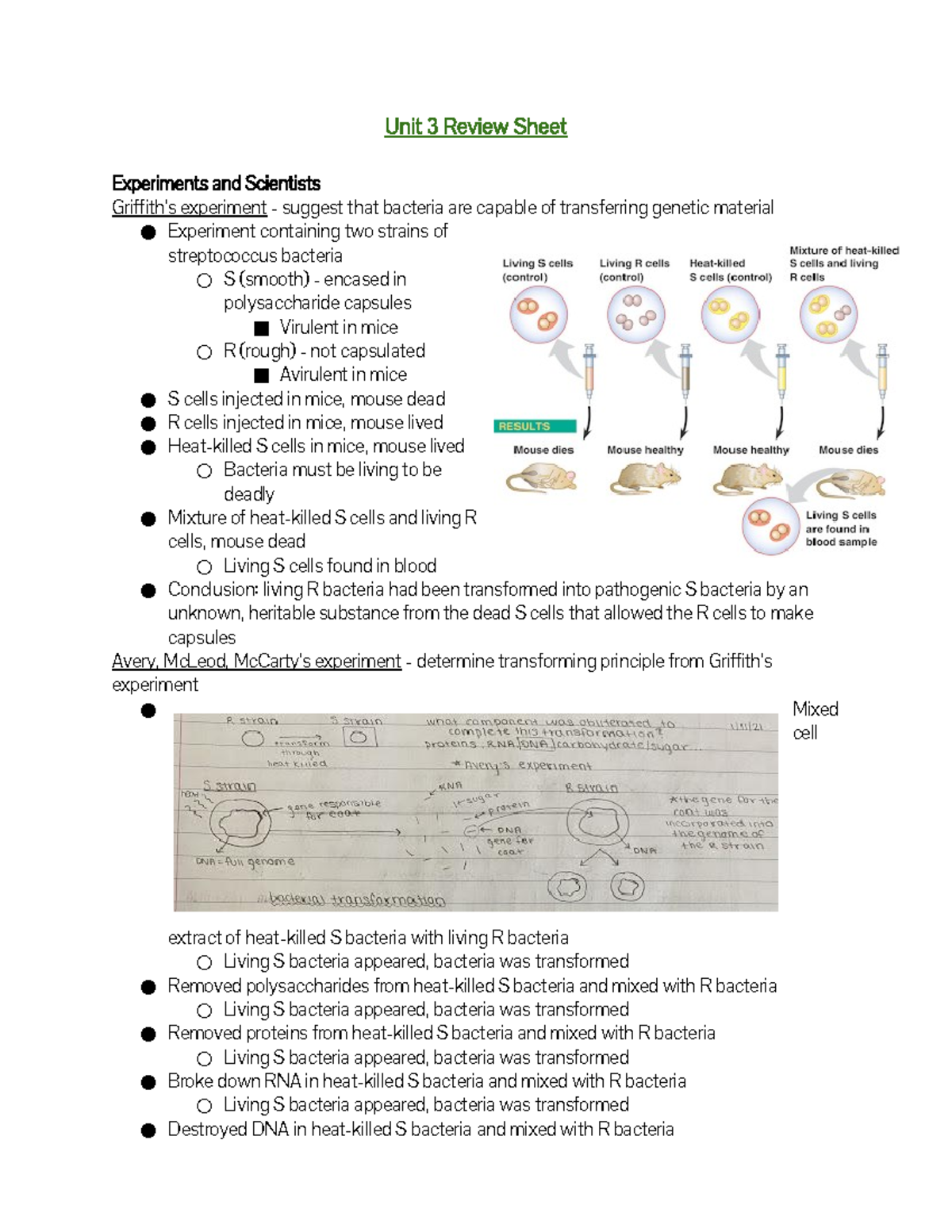 Unit 3 Review Sheet - Unit 3 Review Sheet Experiments and Scientists ...