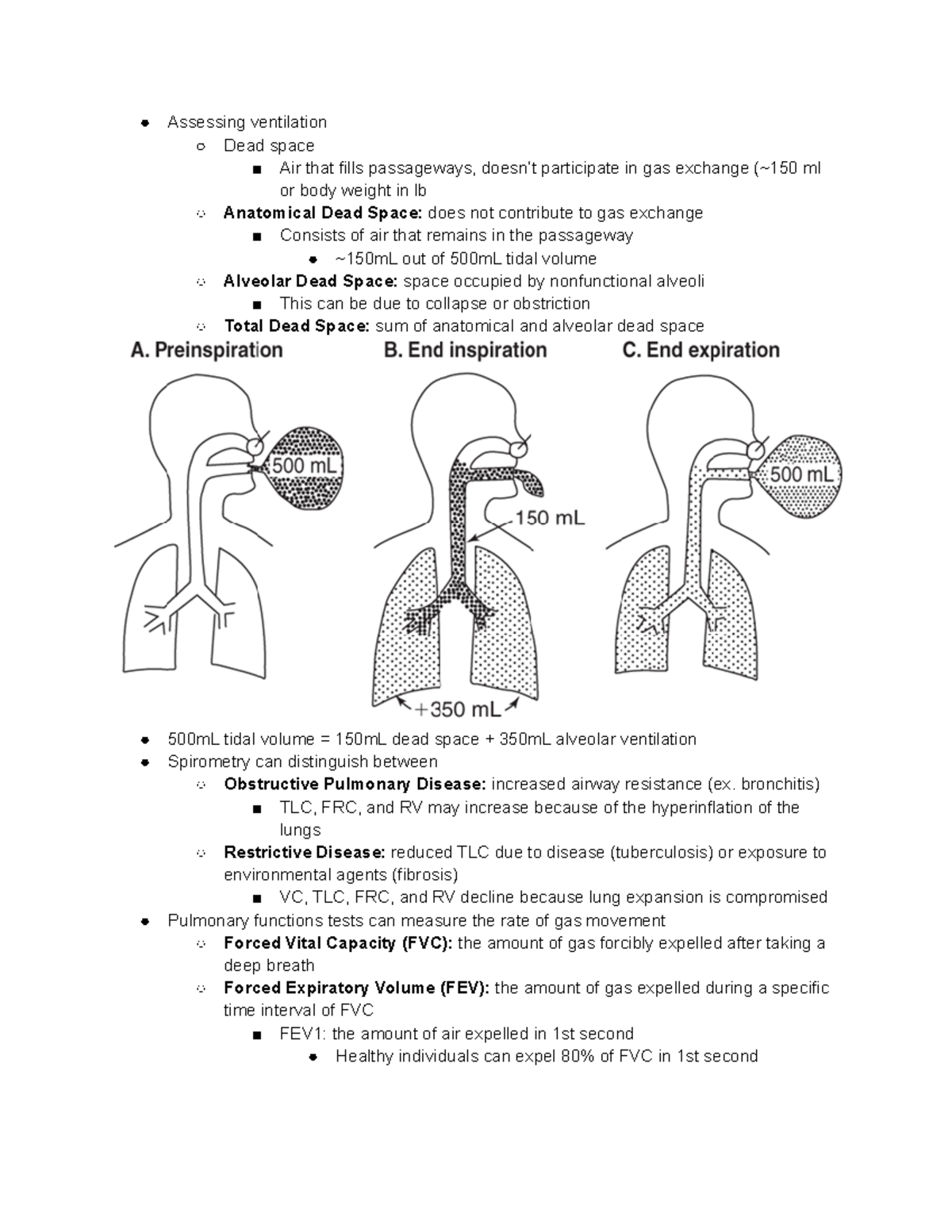 Topic 6.2 Respiratory System II - Assessing Ventilation Dead Space Air ...