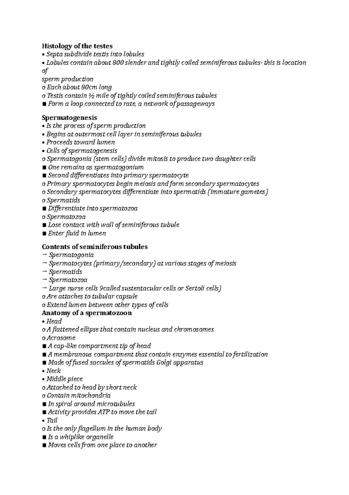 Histology of the testes - Histology of the testes Septa subdivide ...