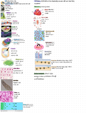 BIO 111 Gene Expression - Section: 586 Gene Expression Lab Objectives 1 ...