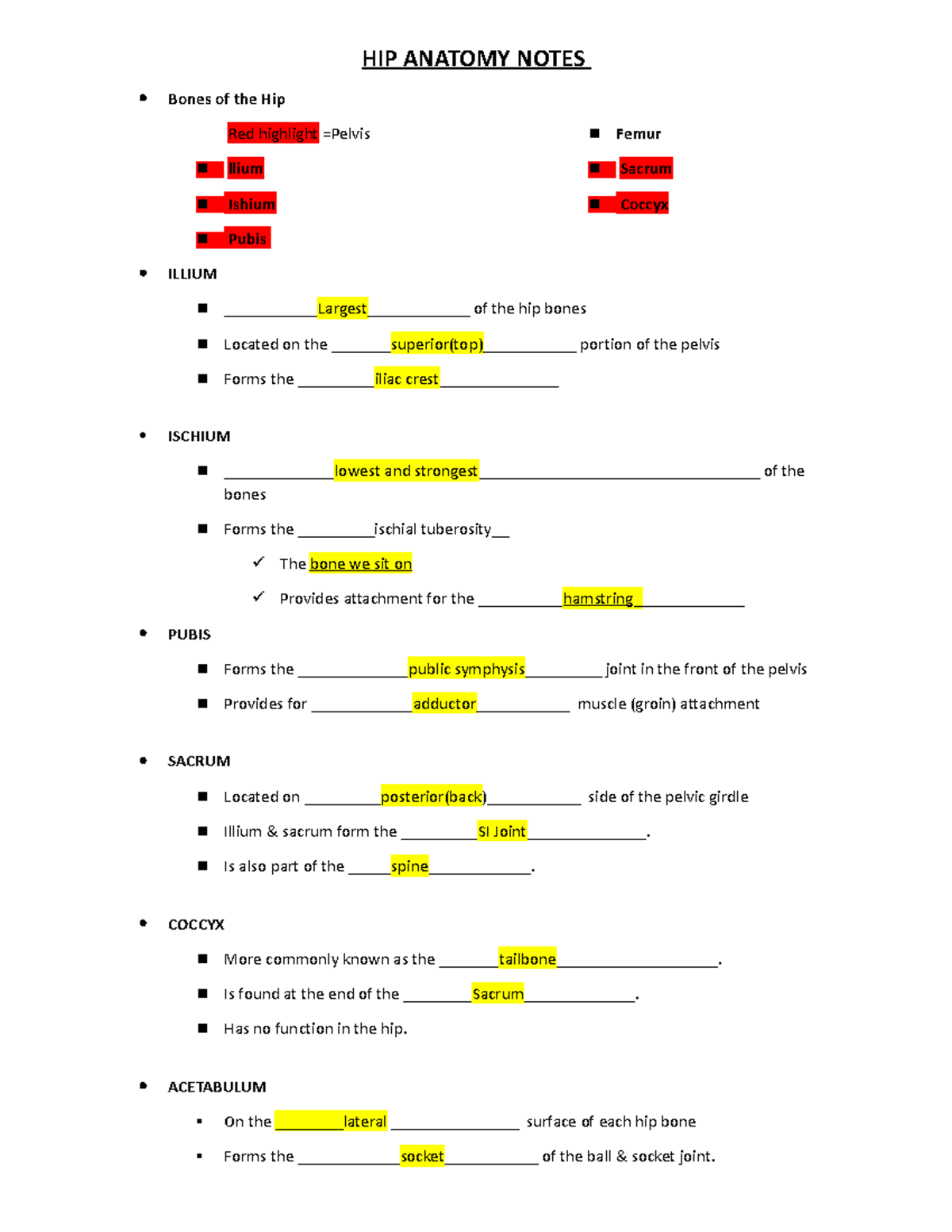 HIP Anatomy Notes - HIP ANATOMY NOTES Bones of the Hip Red highlight ...