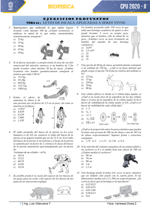 Jeff-nippard-s-comeback-bridge-program Compress - DISCLAIMER All ...