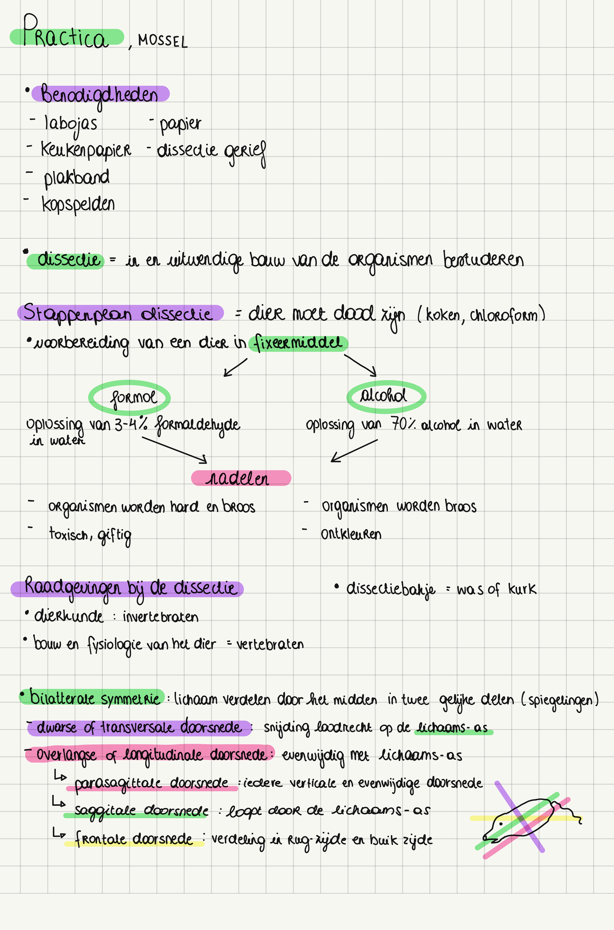 Dierkunde Practica Samenvatting - Dierkunde: Morfologie En Systematiek ...