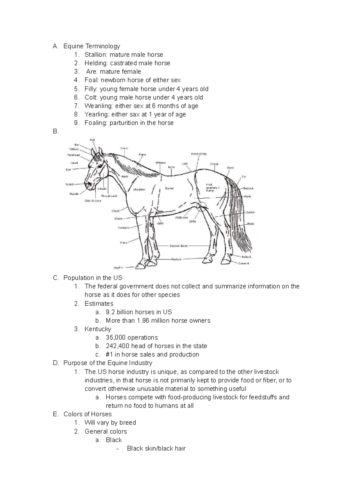 12 Equine - Introduction to Animal Science, Heather Porter, MW Lecture  Spring Semester - A. Equine - Studocu