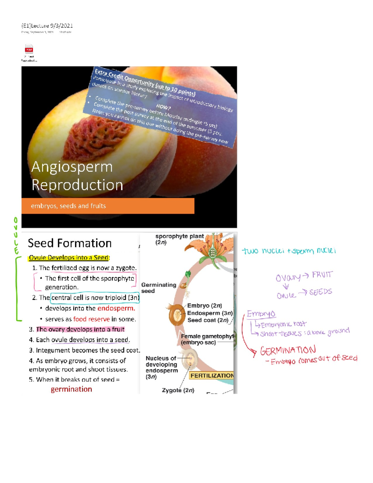 Bio 106 Lecture 5 - BIOL 106 - Studocu