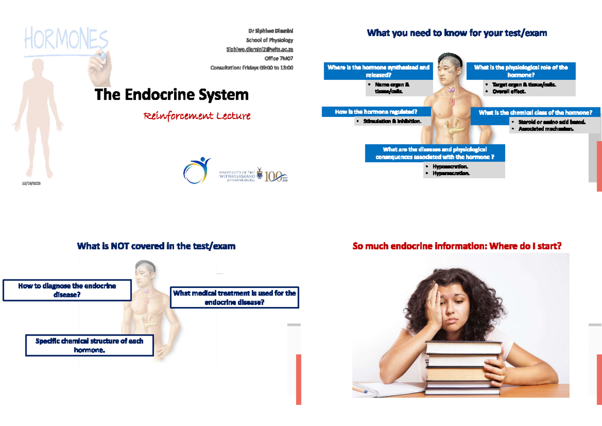 Endocrine Summary - SAVES TIME - PHSL 2004 - Studocu