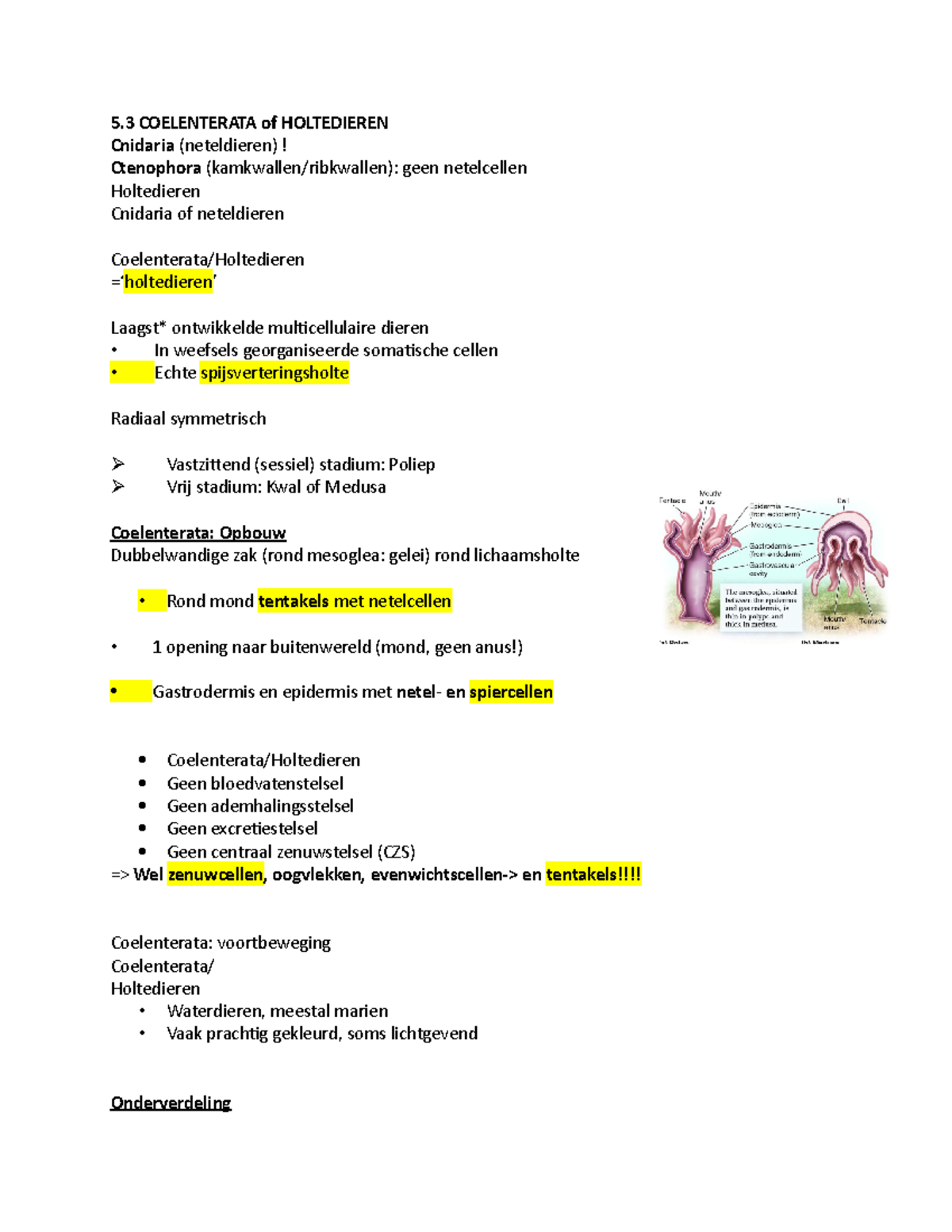 Coelentatra zelfstudie systematiek - 5 COELENTERATA of HOLTEDIEREN ...