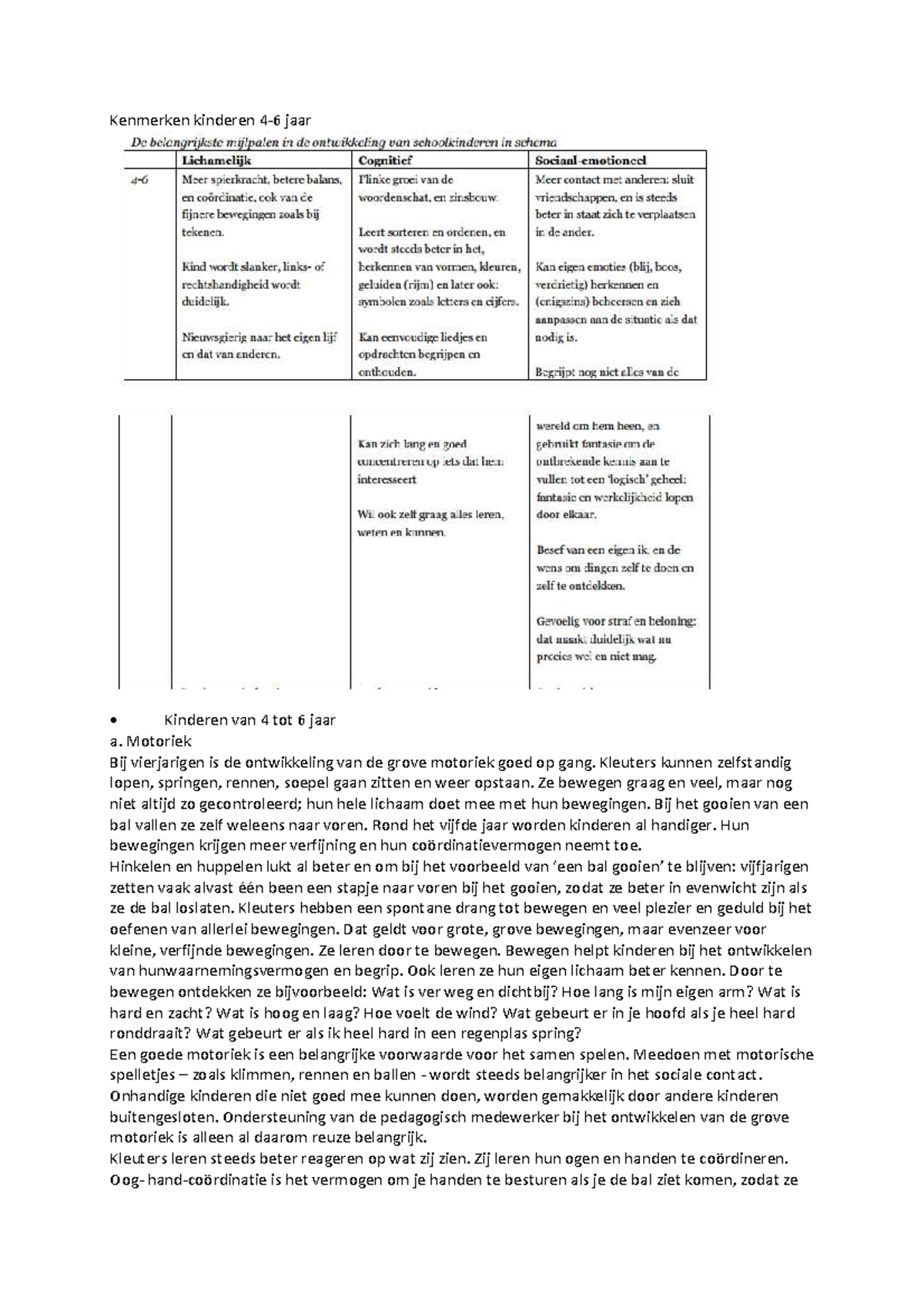 Het essay kenmerken 05 picture