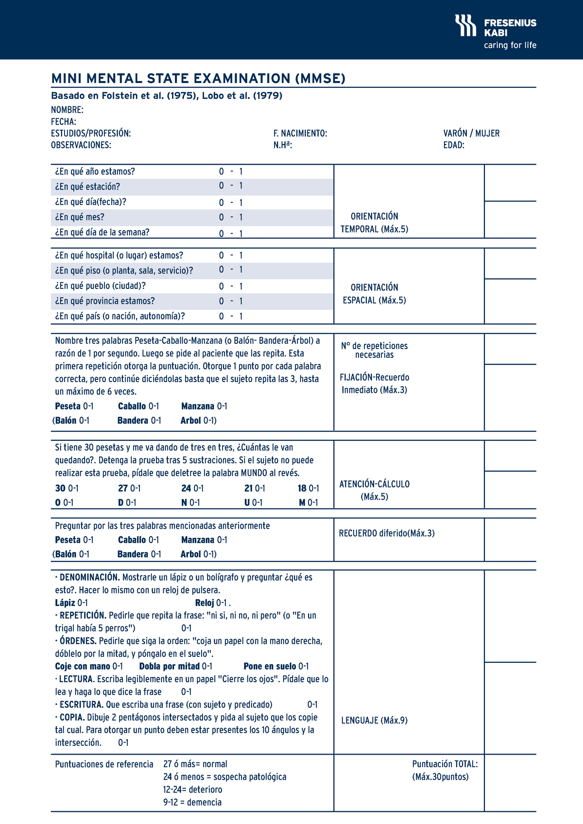 minimental-test-mini-mental-state-examination-mmse-basado-en