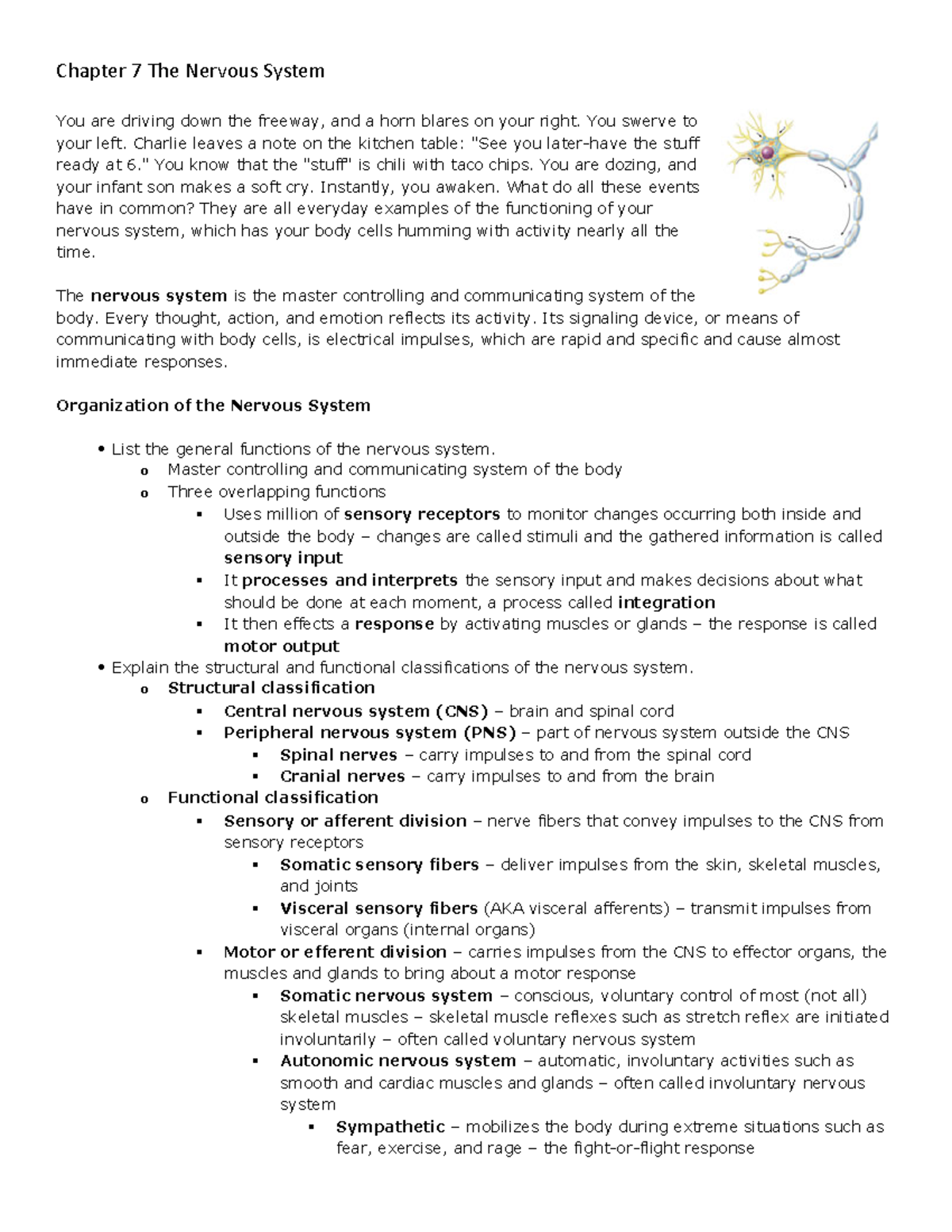 Chapter 7 The Nervous System - Chapter 7 The Nervous System You are ...