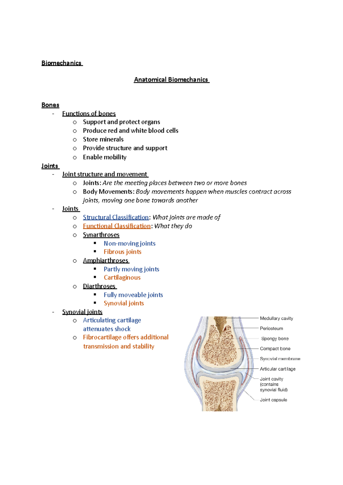 Biomechanics - Lecture 3 - Anatomical Biomechanics - Biomechanics ...