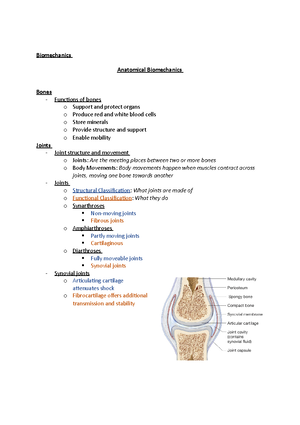 Biomechanics - Lecture 1 - Introduction & Numerical Methods ...