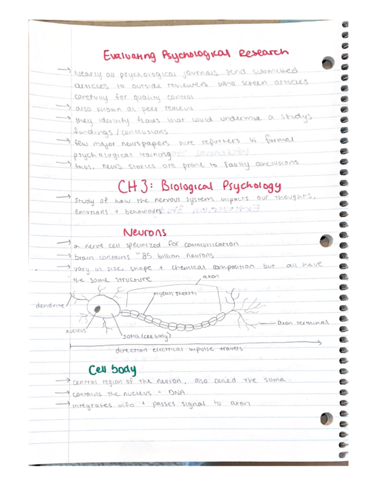 Ch 3 Notes - Ch 3: Biological Psychology - PSYC 102 - Studocu