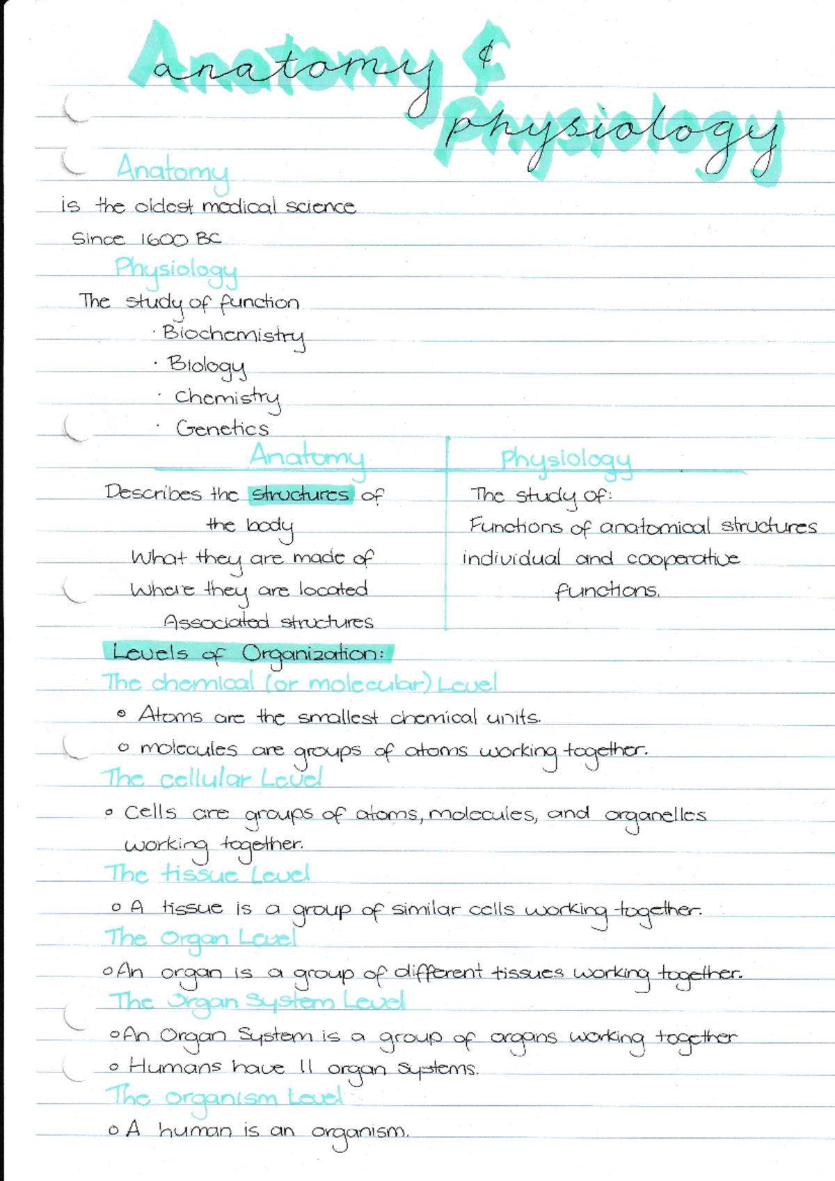 1.Body organisation notes - NURS1004 - Studocu