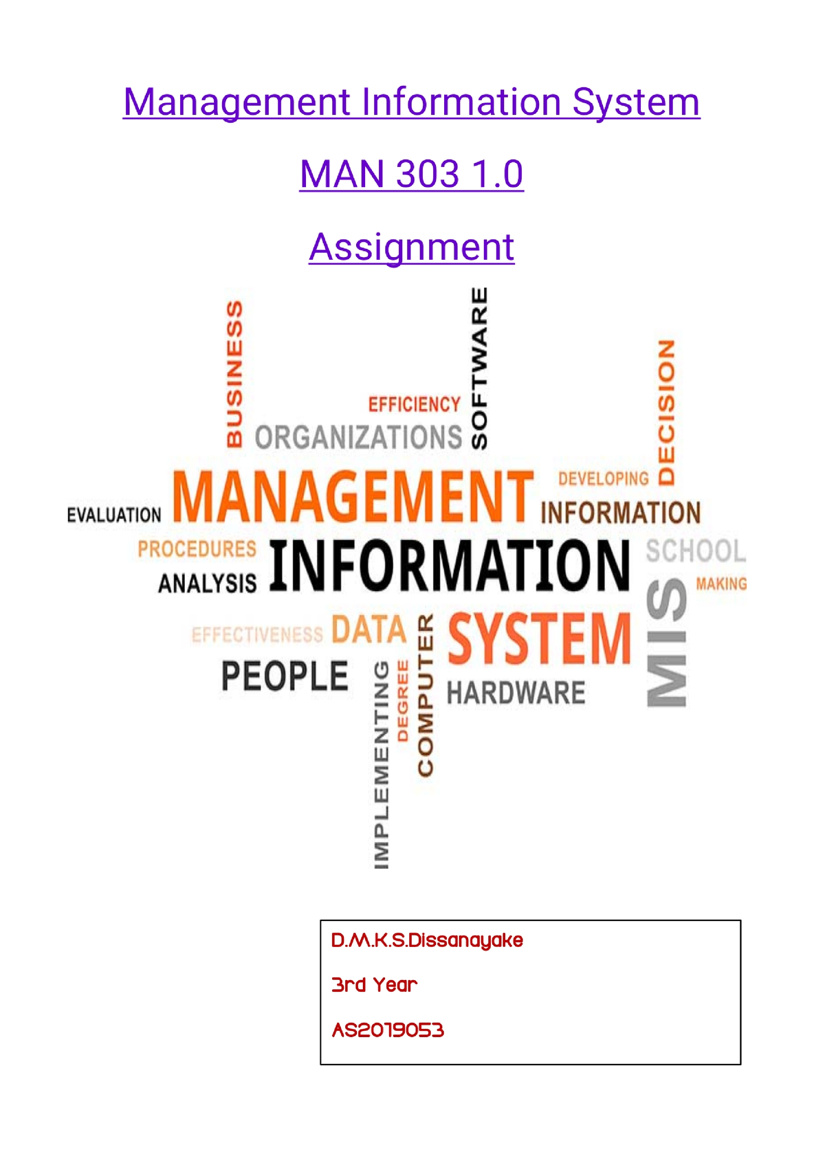 mis assignment define