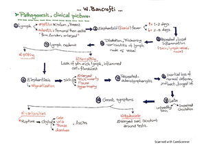 Previous Mcq Para 103 - Parasitology 17 - MCQs Of Parasitology (Module ...